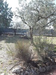 terreno in a Trevi, strada comunale dei Renacci